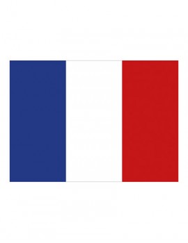 FRANCE Flag