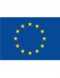 Drapeau Union Européenne
