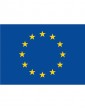 Flag EUROPE