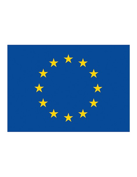 Drapeau Union Européenne