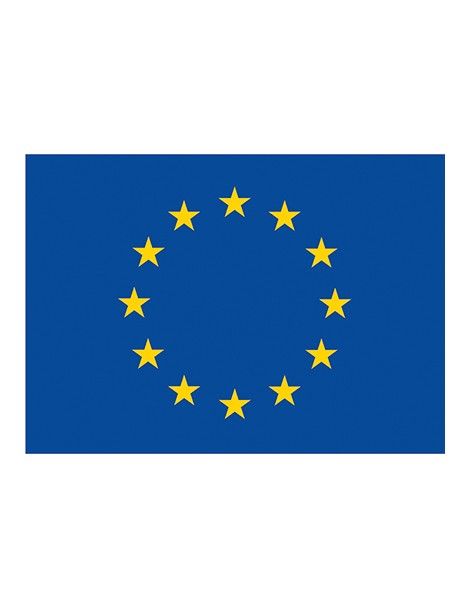 Flag EUROPE