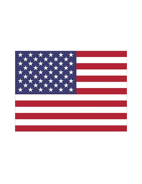 Flag US