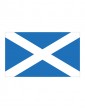 Flag Scotland