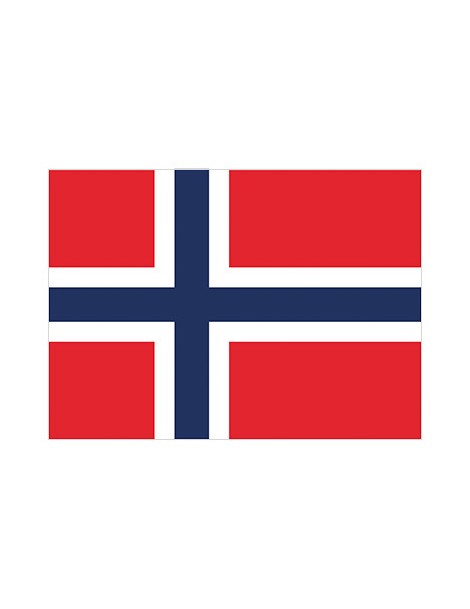 Drapeau NORVEGE