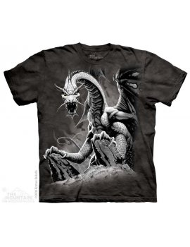 Black Dragon - T-shirt - The Mountain