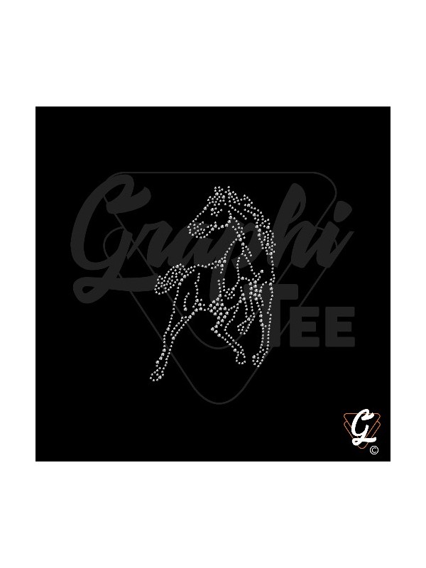 motif strass de cheval