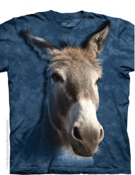 Donkey - T-shirt -The Mountain