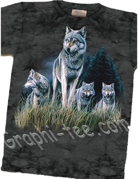 wolves in grass