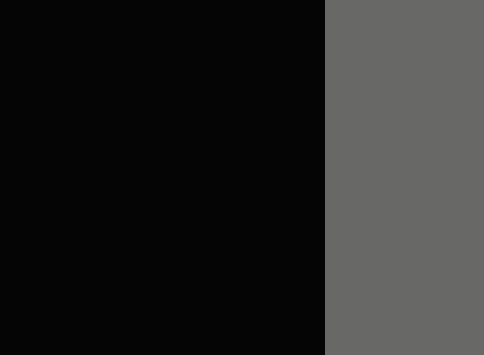 Noir // Gris