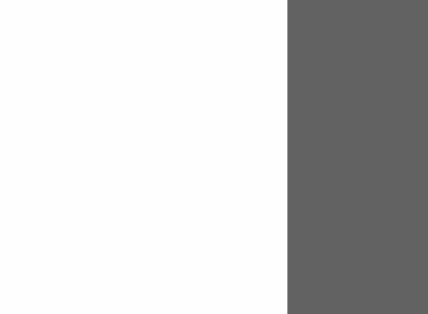 Blanc // Gris